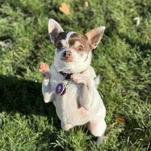 Fundraising Page: Valorie Scott